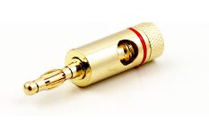 Speaker plugs